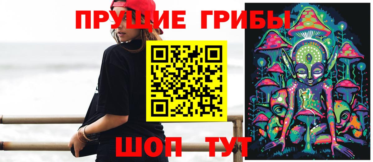 Псилоцибиновые грибы мухоморы  Вход с VPN  цена   Тара 