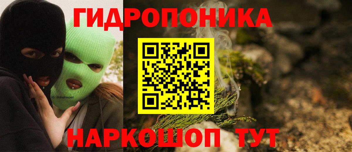 Канабис VHQ  Вход с VPN  Канабис Bruce Banner  Тара 